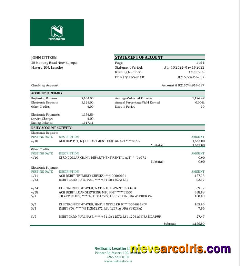 Lesotho Nedbaank bank statement Excel and PDF